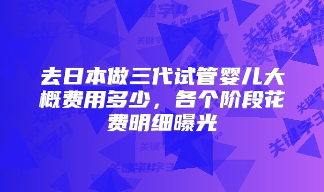 去日本做三代试管婴儿大概费用多少，各个阶段花费明细曝光