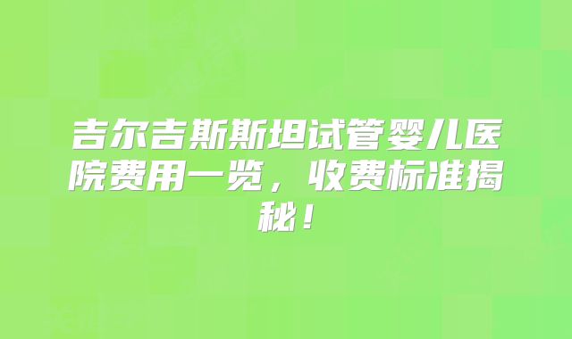 吉尔吉斯斯坦试管婴儿医院费用一览，收费标准揭秘！