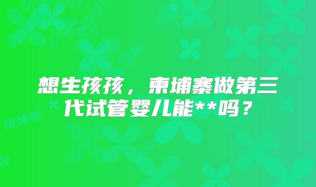 想生孩孩，柬埔寨做第三代试管婴儿能**吗？