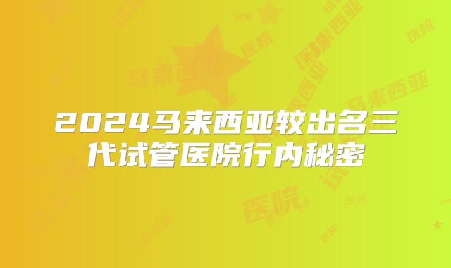 2024马来西亚较出名三代试管医院行内秘密
