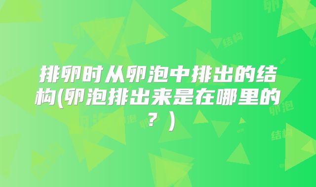 排卵时从卵泡中排出的结构(卵泡排出来是在哪里的?)