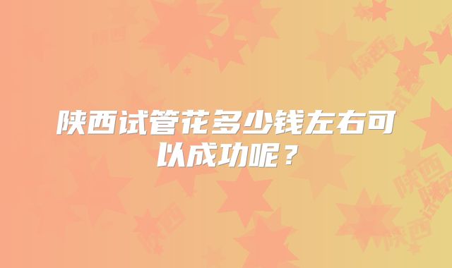 陕西试管花多少钱左右可以成功呢？