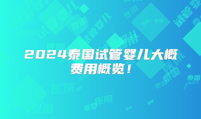 2024泰国试管婴儿大概费用概览!