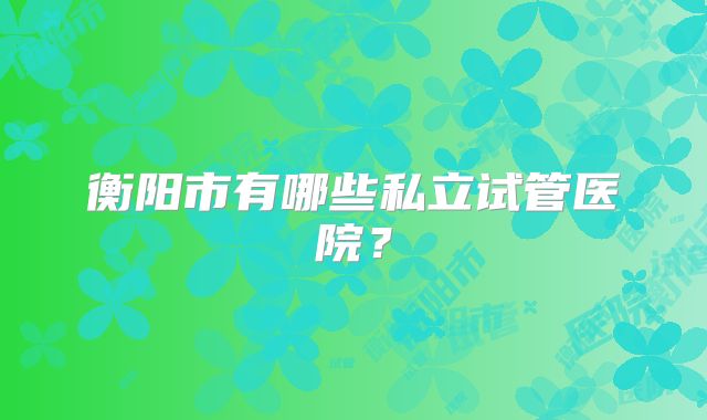 衡阳市有哪些私立试管医院？