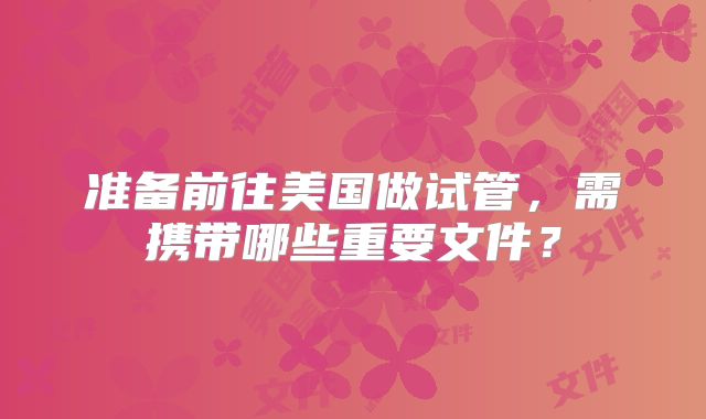 准备前往美国做试管，需携带哪些重要文件？
