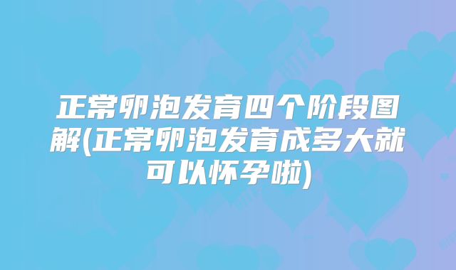 正常卵泡发育四个阶段图解(正常卵泡发育成多大就可以怀孕啦)