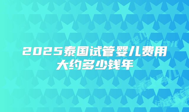 2025泰国试管婴儿费用大约多少钱年