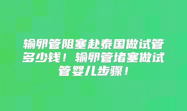 输卵管阻塞赴泰国做试管多少钱！输卵管堵塞做试管婴儿步骤！