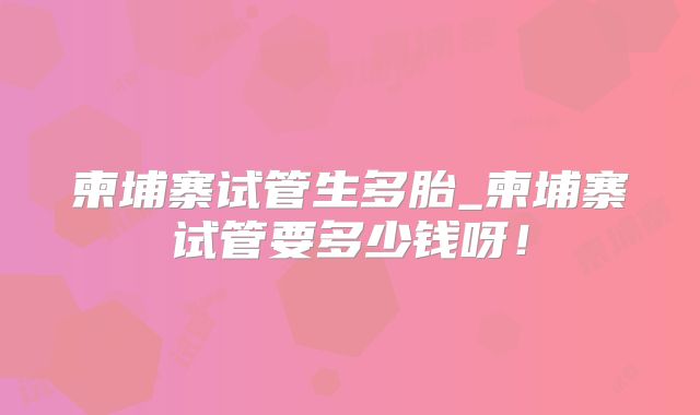 柬埔寨试管生多胎_柬埔寨试管要多少钱呀！
