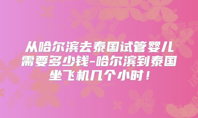 从哈尔滨去泰国试管婴儿需要多少钱-哈尔滨到泰国坐飞机几个小时!