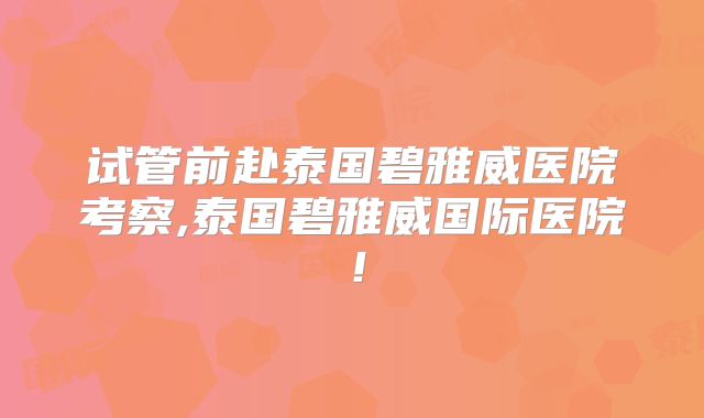 试管前赴泰国碧雅威医院考察,泰国碧雅威国际医院！