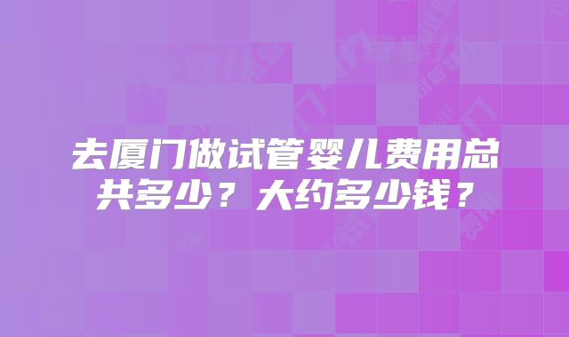 去厦门做试管婴儿费用总共多少？大约多少钱？