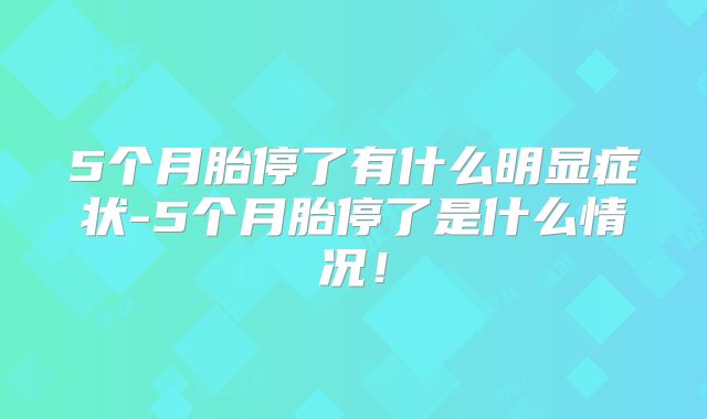 5个月胎停了有什么明显症状-5个月胎停了是什么情况！