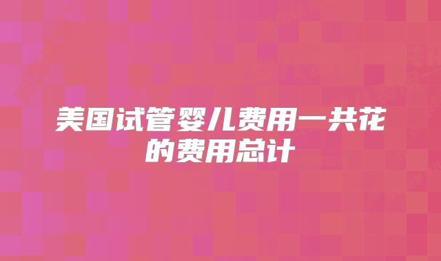 美国试管婴儿费用一共花的费用总计