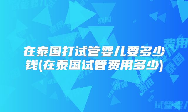 在泰国打试管婴儿要多少钱(在泰国试管费用多少)