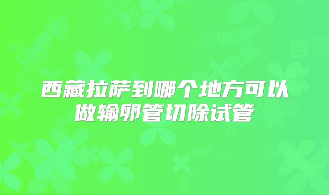 西藏拉萨到哪个地方可以做输卵管切除试管
