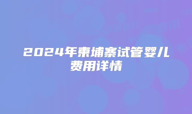 2024年柬埔寨试管婴儿费用详情