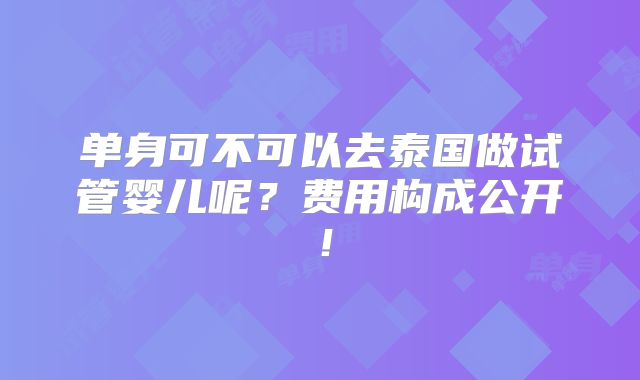 单身可不可以去泰国做试管婴儿呢？费用构成公开！