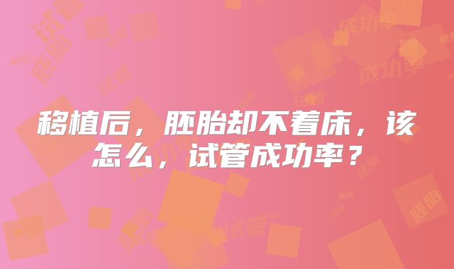 移植后,胚胎却不着床,该怎么,试管成功率?