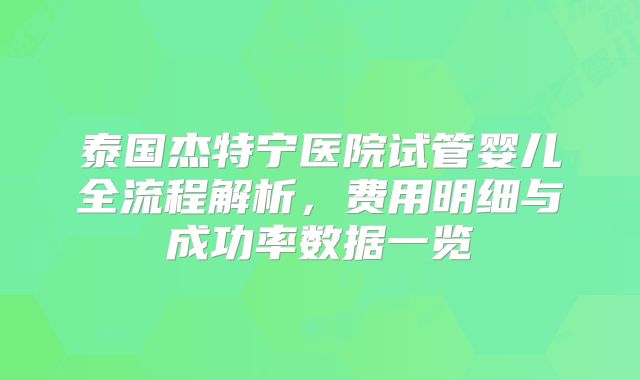 泰国杰特宁医院试管婴儿全流程解析，费用明细与成功率数据一览
