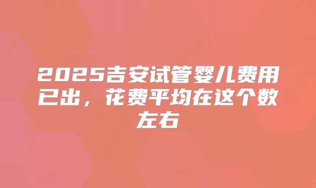 2025吉安试管婴儿费用已出，花费平均在这个数左右