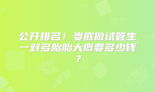 公开排名！娄底做试管生一对多胎胎大概要多少钱？