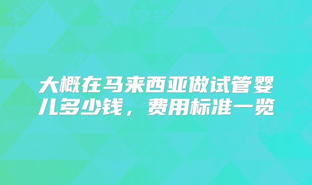 大概在马来西亚做试管婴儿多少钱，费用标准一览
