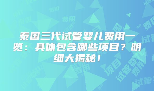 泰国三代试管婴儿费用一览：具体包含哪些项目？明细大揭秘！