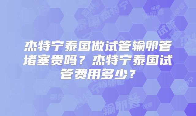杰特宁泰国做试管输卵管堵塞贵吗？杰特宁泰国试管费用多少？