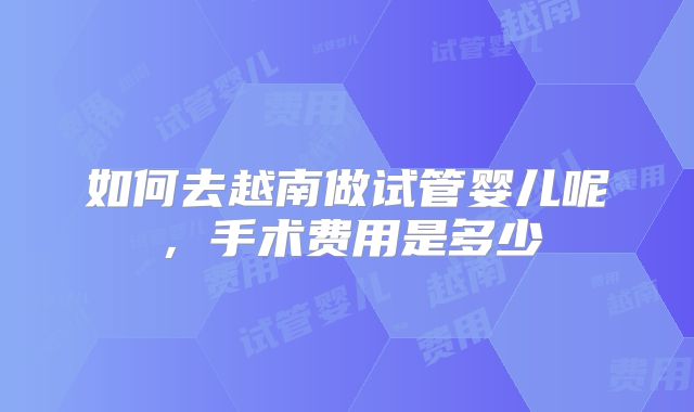 如何去越南做试管婴儿呢，手术费用是多少