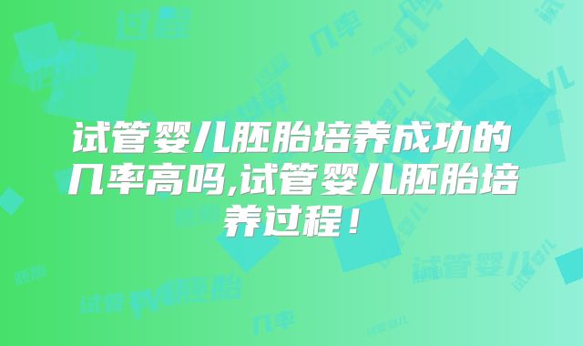 试管婴儿胚胎培养成功的几率高吗,试管婴儿胚胎培养过程！