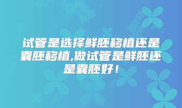 试管是选择鲜胚移植还是囊胚移植,做试管是鲜胚还是囊胚好！