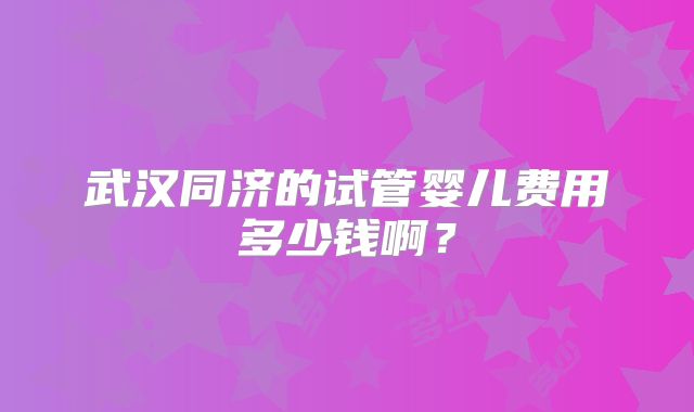 武汉同济的试管婴儿费用多少钱啊？