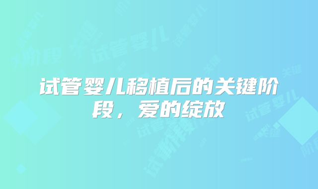 试管婴儿移植后的关键阶段，爱的绽放