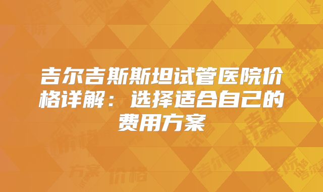 吉尔吉斯斯坦试管医院价格详解：选择适合自己的费用方案