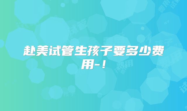 赴美试管生孩子要多少费用-！