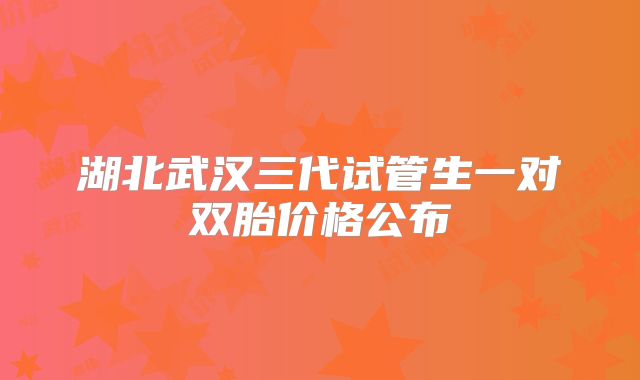 湖北武汉三代试管生一对双胎价格公布