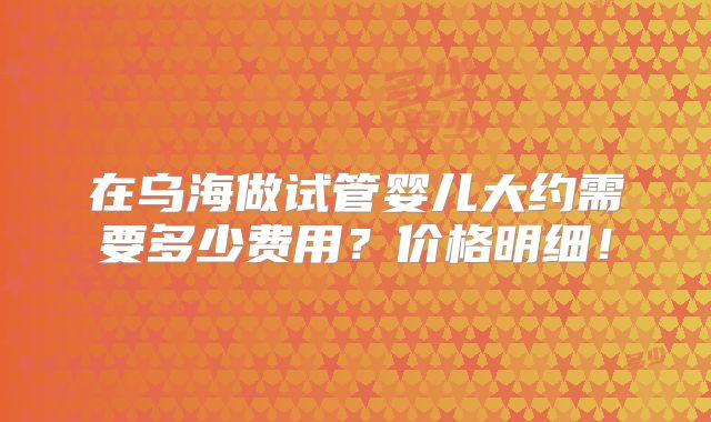 在乌海做试管婴儿大约需要多少费用？价格明细！