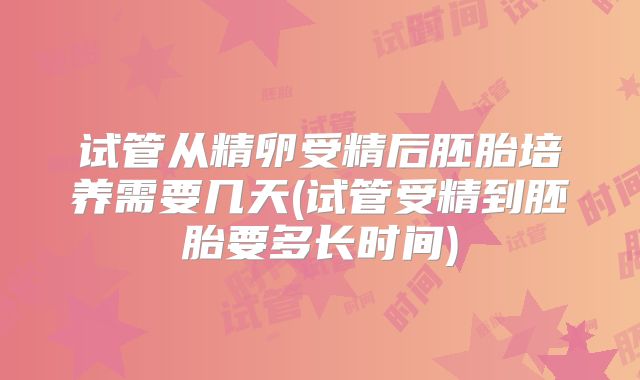 试管从精卵受精后胚胎培养需要几天(试管受精到胚胎要多长时间)