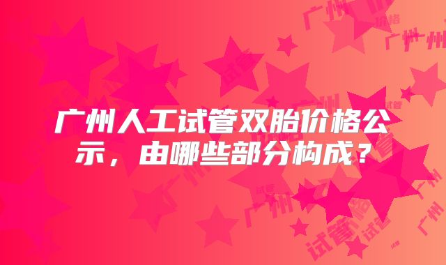 广州人工试管双胎价格公示，由哪些部分构成？
