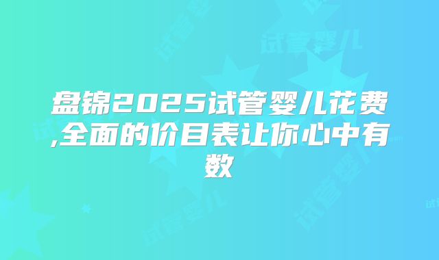 盘锦2025试管婴儿花费,全面的价目表让你心中有数