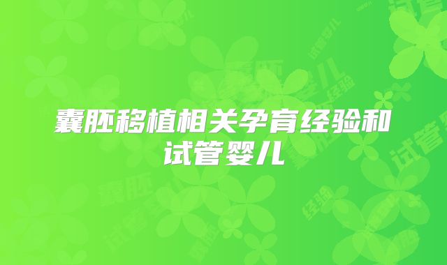 囊胚移植相关孕育经验和试管婴儿