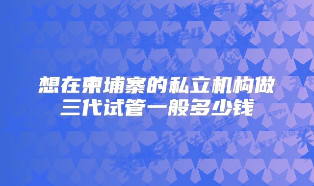 想在柬埔寨的私立机构做三代试管一般多少钱