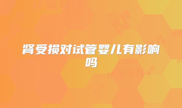 肾受损对试管婴儿有影响吗