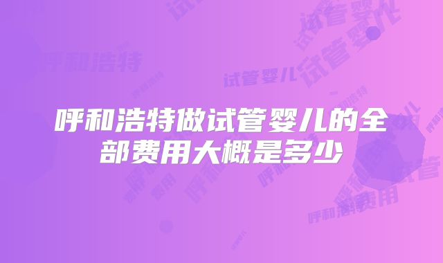 呼和浩特做试管婴儿的全部费用大概是多少