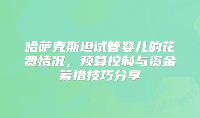 哈萨克斯坦试管婴儿的花费情况,预算控制与资金筹措技巧分享