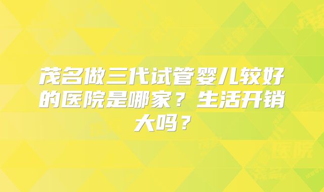 茂名做三代试管婴儿较好的医院是哪家？生活开销大吗？