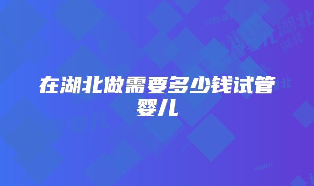 在湖北做需要多少钱试管婴儿