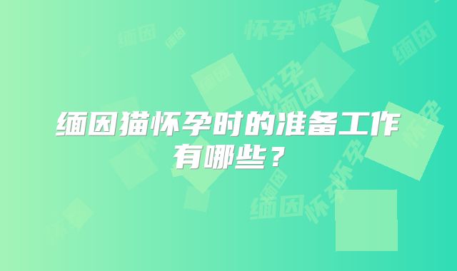 缅因猫怀孕时的准备工作有哪些?