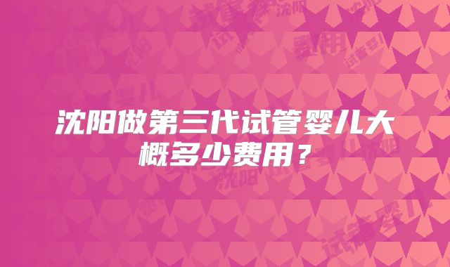 沈阳做第三代试管婴儿大概多少费用?